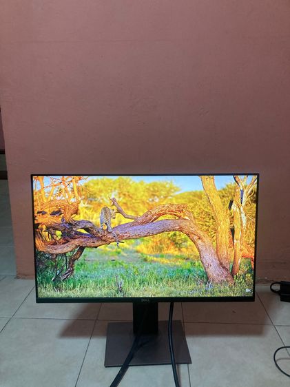 MONITOR (จอมอนิเตอร์) DELL P2719H - ขนาด 27 นี้ว IPS FHD 60Hz รูปที่ 6