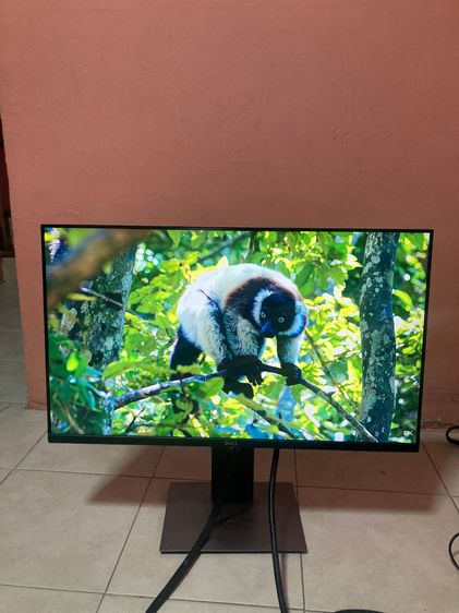 MONITOR (จอมอนิเตอร์) DELL P2719H - ขนาด 27 นี้ว IPS FHD 60Hz รูปที่ 5