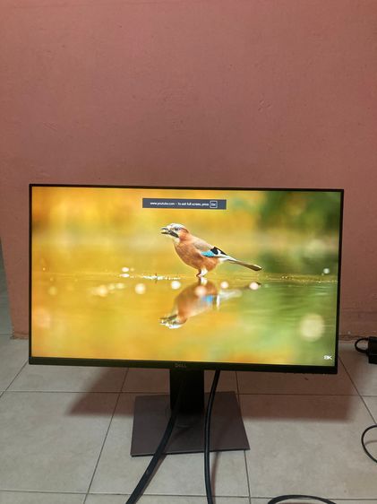 MONITOR (จอมอนิเตอร์) DELL P2719H - ขนาด 27 นี้ว IPS FHD 60Hz รูปที่ 3