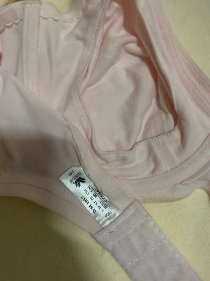 เสื้อในวาโก้ รูปที่ 2