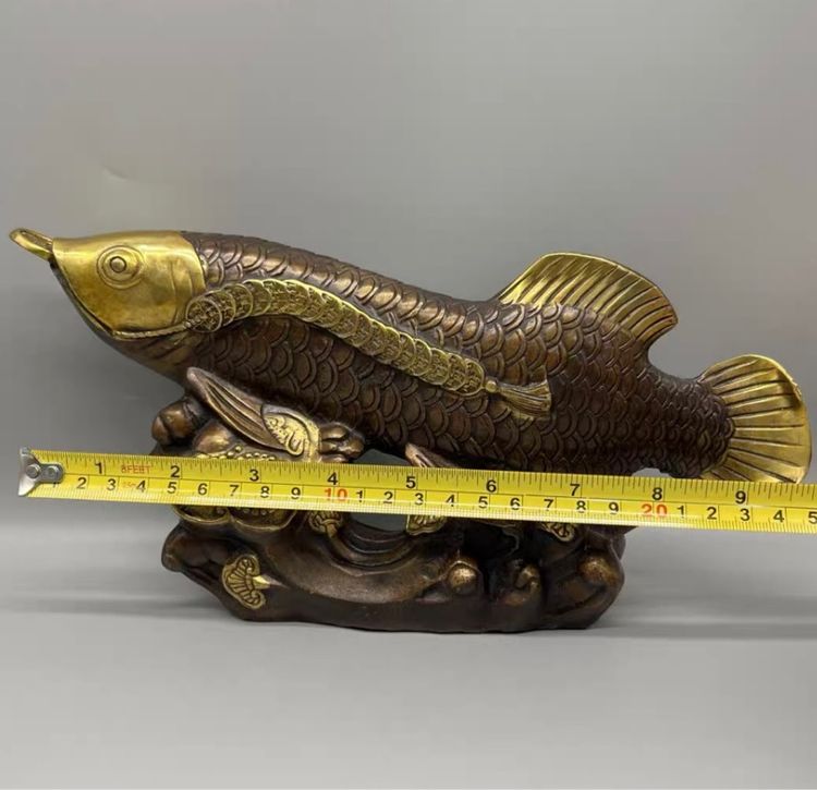 ✨ปลาอะโรวาน่าสีทอง“ทองเหลืองแท้  รูปที่ 2