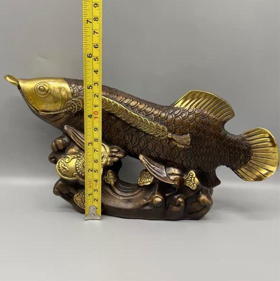 ✨ปลาอะโรวาน่าสีทอง“ทองเหลืองแท้ 