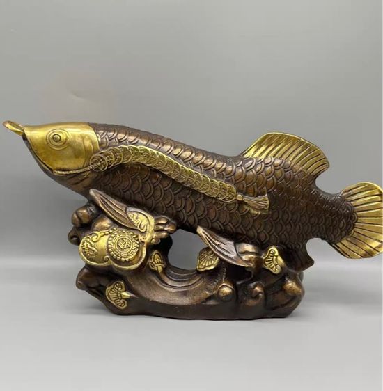 ✨ปลาอะโรวาน่าสีทอง“ทองเหลืองแท้  รูปที่ 3