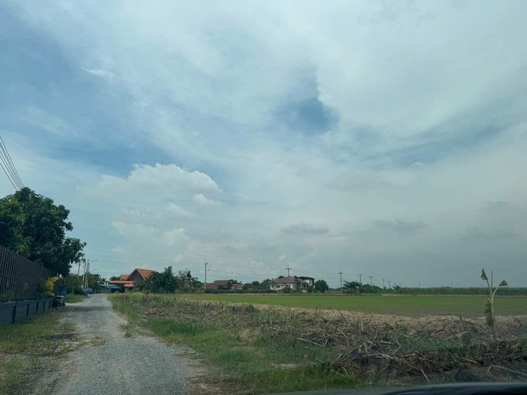 ที่ดินสวนเกษตร รูปที่ 3