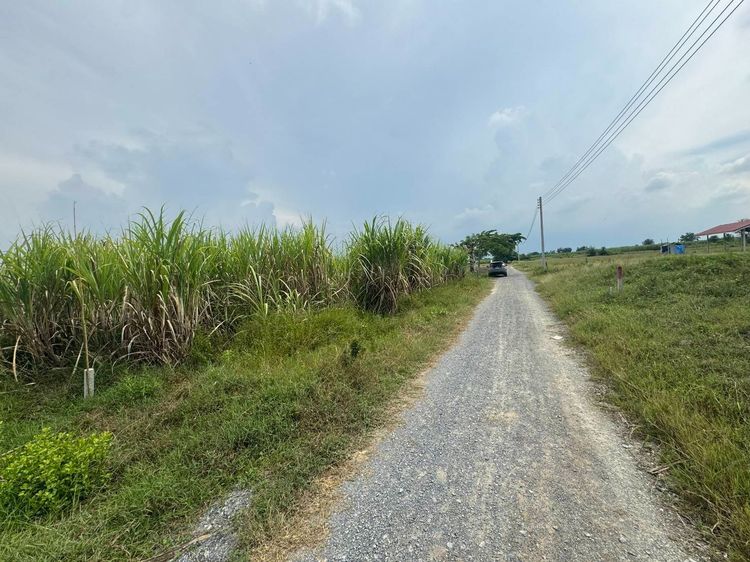 ที่ดินสวนเกษตร รูปที่ 4