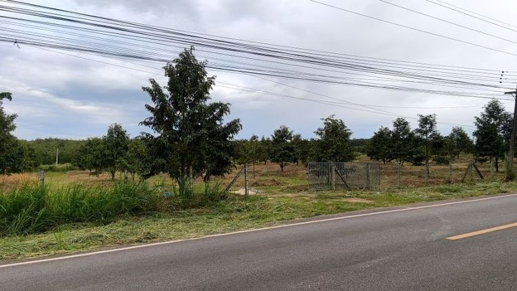 ใช่ ที่ดินสวย ใกล้โรงเรียนและเส้นเลี่ยงเมือง รูปที่ 2