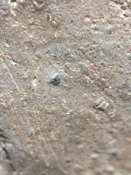 ❌ปิดครับ❌พระซุ้มขุนตาลเนื้อเขียวแกร่งครับ รูปที่ 15