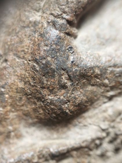 ❌ปิดครับ❌พระซุ้มขุนตาลเนื้อเขียวแกร่งครับ รูปที่ 7