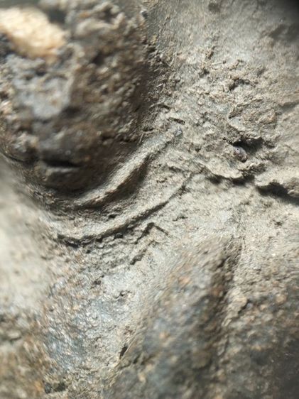 ❌ปิดครับ❌พระซุ้มขุนตาลเนื้อเขียวแกร่งครับ รูปที่ 6