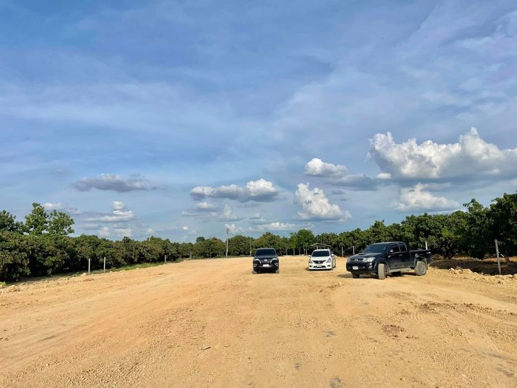 ที่ดิน สารภี ใกล้เมืองเชียงใหม่ราคาถูก ใกล้ตลาดสดน้ำโท้ง พร้อมสร้างบ้าน รูปที่ 4