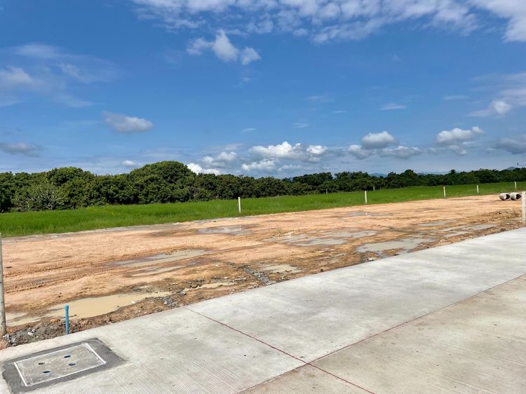  ที่ดินถมแล้ว พร้อมสร้างบ้าน หางดง เชียงใหม่ ทำเลใกล้มหาลัยนอร์ท รูปที่ 4