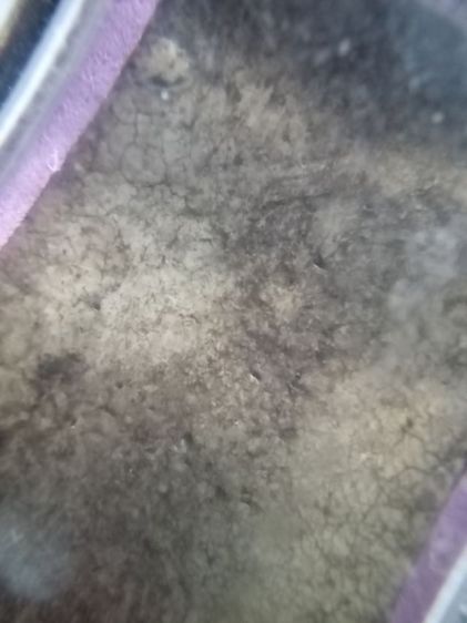 พระสมเด็จเนื้อสวย รูปที่ 5