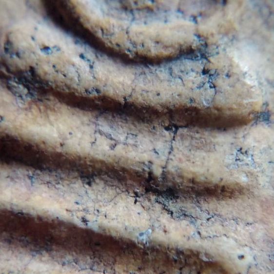 พระสมเด็จเนื้อสวย รูปที่ 4