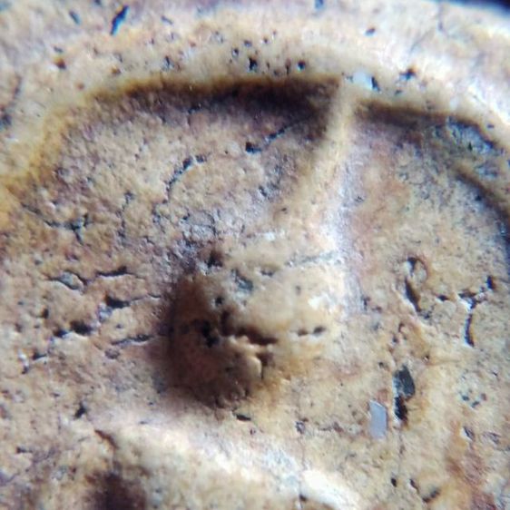 พระสมเด็จเนื้อสวย รูปที่ 3