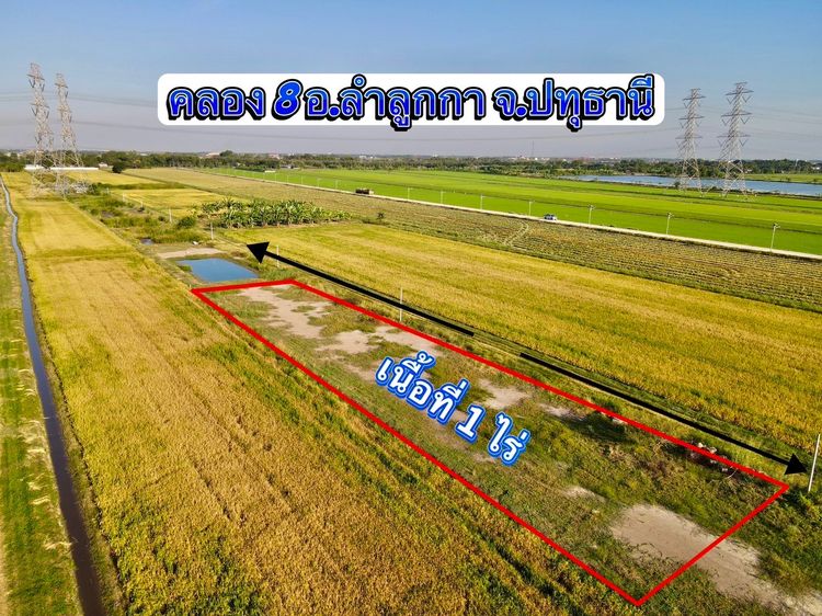 ขายที่ดินคลอง 8 ลำลูกกา ปทุมธานี 1 ไร่ ทำเลดี ใกล้ชุมชน ราคา 1.9 ล้าน