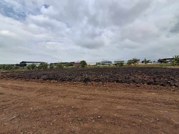 ที่ดิน+โกดัง เริ่มต้น 3.1 ลบ.