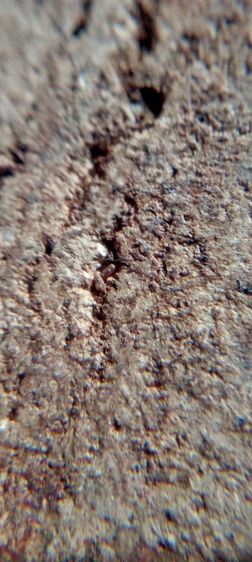 พระสมเด็จสวยๆ รูปที่ 8