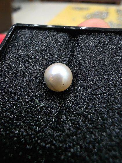 ไข่มุก ของเก่าเก็บ สวยหายาก รุ่นเก่า เดิมๆ หายาก น่าสะสม ของที่บ้าน ขายตามสภาพ พร้อมส่งครับ  รูปที่ 5