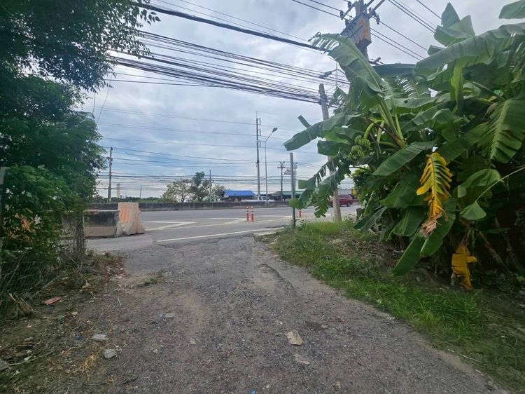 ที่ดินติดถนนเทพารักษ์  ซอยบางปลา41 ขนาด 7 ไร่ 1 งาน 25 ตารางวา รูปที่ 3