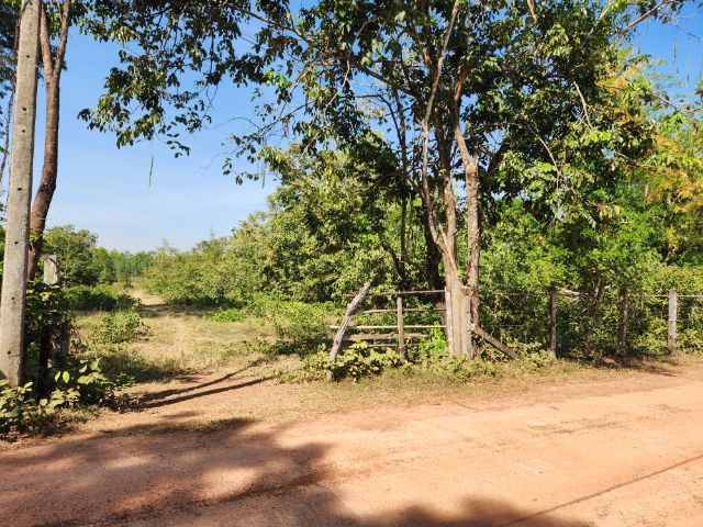 ที่ดินหนองคาย ชุมชนนาคลอง  ทำเลสวย น้ำไม่ท่วม ไฟฟ้าถึง เดินทางสะดวก เหมาะทำที่พักอาศัย บ้านจัดสรร รูปที่ 3