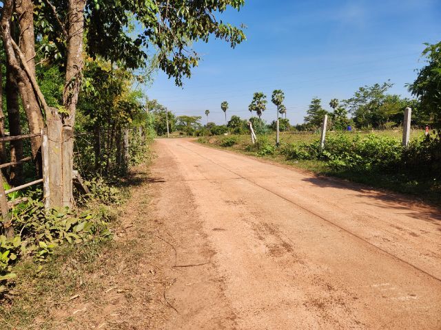 ที่ดินหนองคาย ชุมชนนาคลอง  ทำเลสวย น้ำไม่ท่วม ไฟฟ้าถึง เดินทางสะดวก เหมาะทำที่พักอาศัย บ้านจัดสรร รูปที่ 2