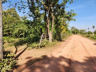 ที่ดินหนองคาย ชุมชนนาคลอง  ทำเลสวย น้ำไม่ท่วม ไฟฟ้าถึง เดินทางสะดวก เหมาะทำที่พักอาศัย บ้านจัดสรร