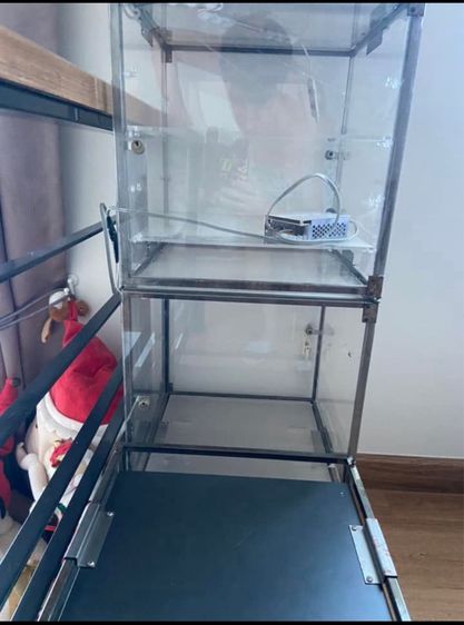 ตู้โชว์เรแบนดิ์ ของแท้