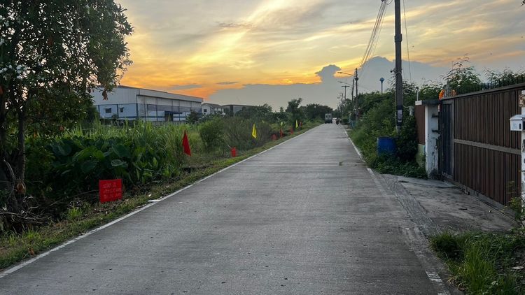 ขายที่ดินคลองสาม คลองหลวง ปทุมธานี เปิดแปลงใหม่ ราคาดี 100 ตารางวา เพียง 850,000 บาท รูปที่ 4