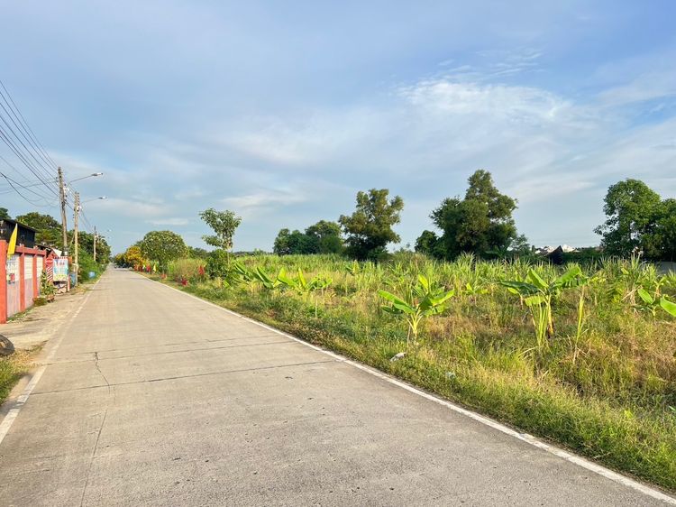 ขายที่ดินคลองสาม คลองหลวง ปทุมธานี เปิดแปลงใหม่ ราคาดี 100 ตารางวา เพียง 850,000 บาท รูปที่ 3