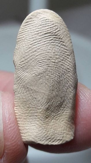 พระรอดพิมพ์ใหญ่ รูปที่ 3