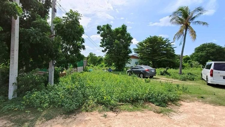 ขายที่ดิน 2 ไร่พร้อมบ้าน 1 หลัง ใกล้ตลาดสดเทศบาลตำบลนายาง รูปที่ 3