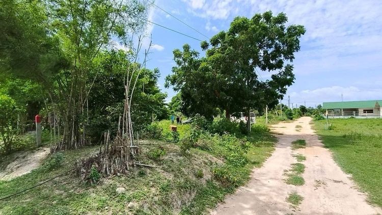 ขายที่ดิน 2 ไร่พร้อมบ้าน 1 หลัง ใกล้ตลาดสดเทศบาลตำบลนายาง รูปที่ 2