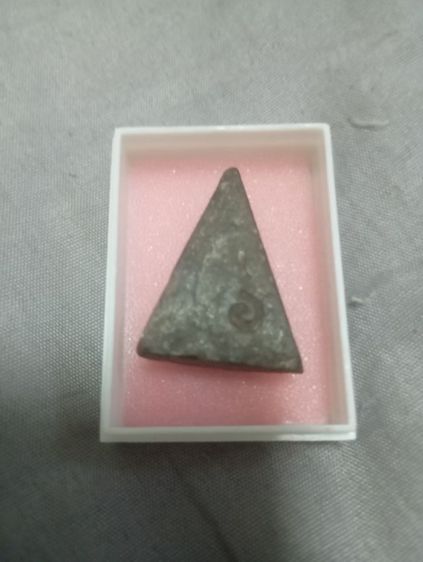 พระนางพญาหลวงพ่อจง วัดหน้าต่างนอก อยุธยา รูปที่ 2