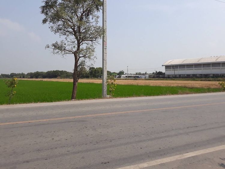 ที่ดินแปลงใหญ่ รูปที่ 3