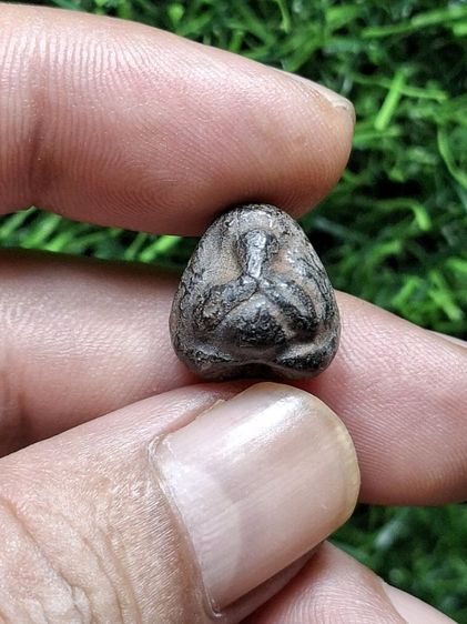 ผงคลุกรักเก่า ไม่รู้ที่