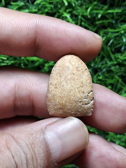 เนื้อผงเก่าไม่ทราบที่ รูปที่ 2