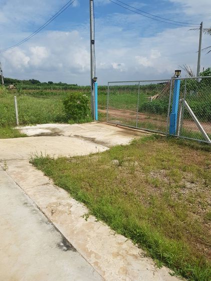 อื่นๆ ไม่มี บ้านชั้นเดียว รูปที่ 3