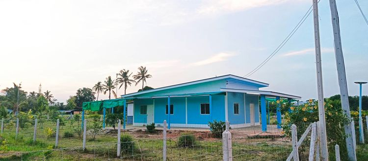 บ้านชั้นเดียว