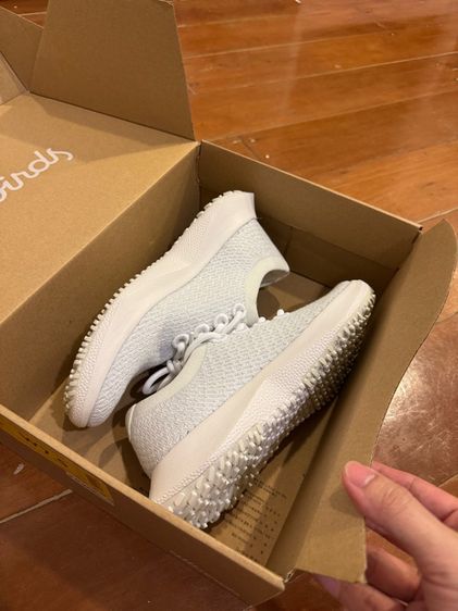 allbirds รูปที่ 2