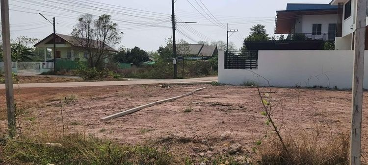  ขายที่ดินในวงแหวนอุดร ใกล้ถนนเลี่ยงเมือง ต.หมากแข้ง จ.อุดรธานี รูปที่ 3