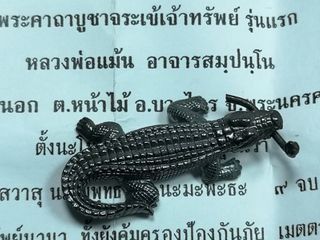 จระเข้เจ้าทรัพย์ จระเข้รุ่นแรกหลวงพ่อแม้น ปี 2556 