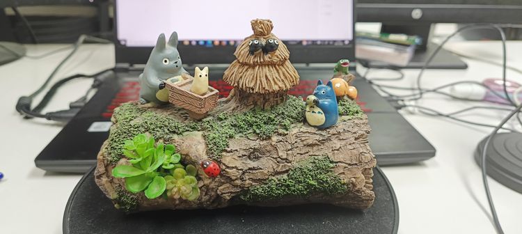  กระปุกออมสินเรซิ่นรูปกระปุกออมสิน Totoro 
