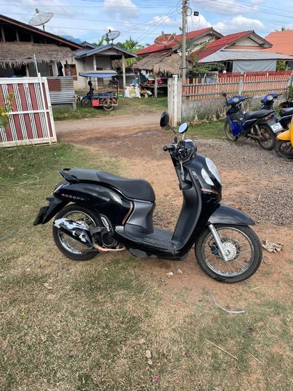 สกู้ปปี้ไอ ปี2020 เดิมนิ่มๆ รูปที่ 2