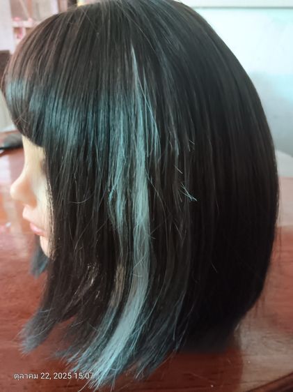 วิกผม รูปที่ 10