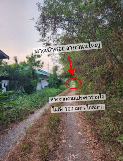 ที่ดิน 100 ตรว ถนนประชาร่วมใจ 66 อยู่ใกล้สวนวารีภิรมย์ ทีดินถมแล้ว
โฉนดครุฑแดง 100 ตรว รูปที่ 3