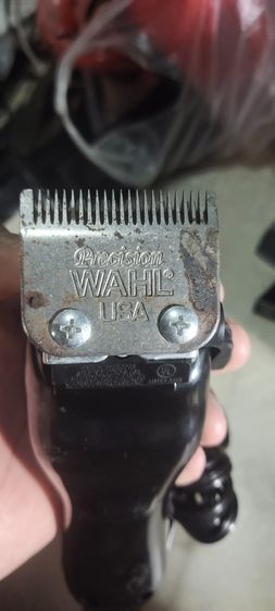 ปัตตาเลี่ยนตัดผม