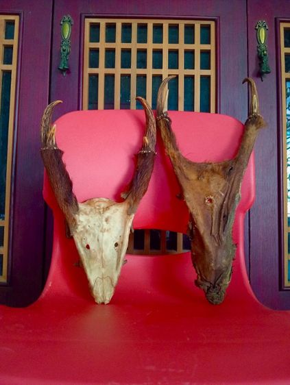 แท้เดิมเก่าโบราณสภาพเยี่ยม รูปที่ 5