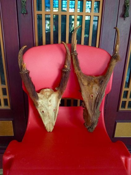 แท้เดิมเก่าโบราณสภาพเยี่ยม รูปที่ 7