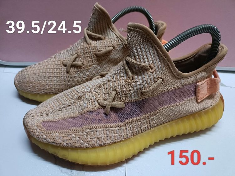 รองเท้าผ้าใบ รูปที่ 11