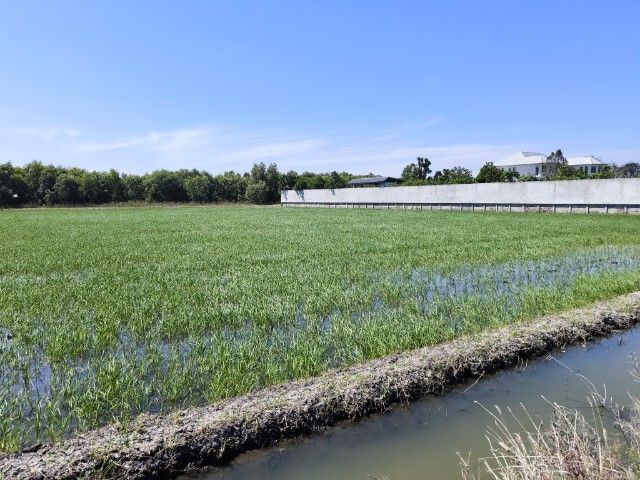 ใช่ ทำเลดีๆ รูปที่ 4